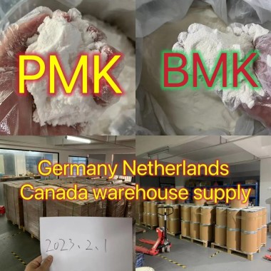 5449-12-7 BMK Glycidic Acid (sodium salt) bmk powder