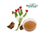 Rhodiola rosea extract