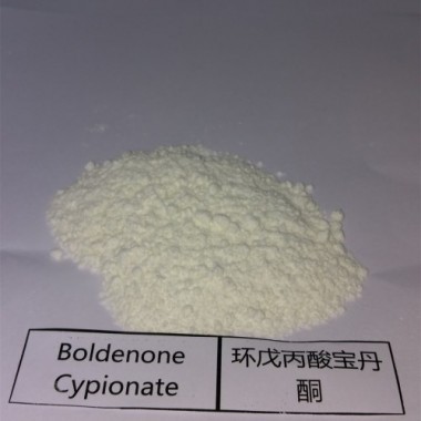 Injectable Boldenone Cypionate Steroid Powder for Sale