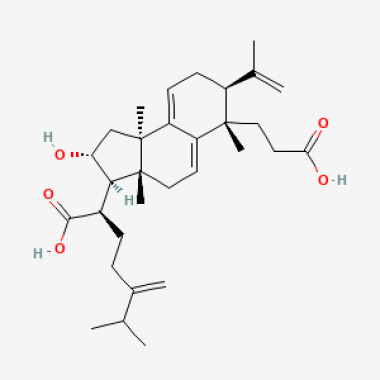 Poricoic acid A