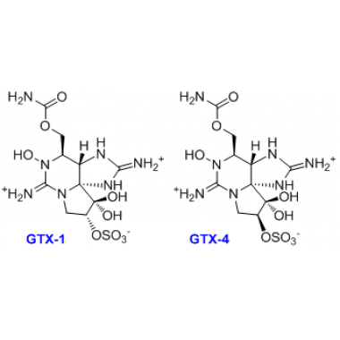 [(3aS,4R,6Z,9R)-2-Amino-5,10,10-trihydroxy-6-imino-9-(sulfooxy)-3 a,4,5,6,9,10-hexahydro-3H,8H-pyrrolo[1,2-c]purin-4-yl]methyl carb amate