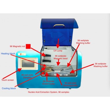 DNA Sample Nucleic Acid Purification Extraction