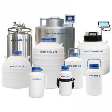 Sweden Liquid Nitrogen Tank Cell Storage Cryo Vessel
