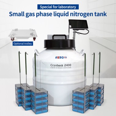 Malawi-samll liquid nitrogen freezer price-cell storage tank