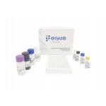 Human SOD2(Superoxide dismutase [Mn], mitochondrial) ELISA Kit