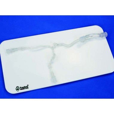 Anterior Cerebral Circulation Vessel Model