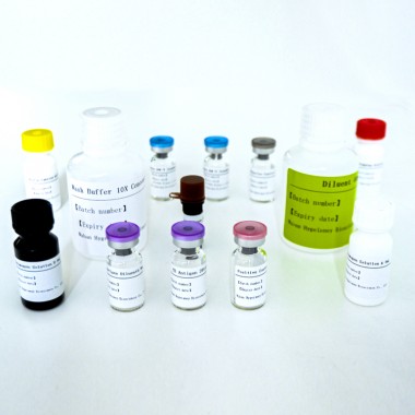 TB-IGRA ELISA KIT