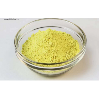 Factory supply medicine grade Baicalin Extract  21967-41-9