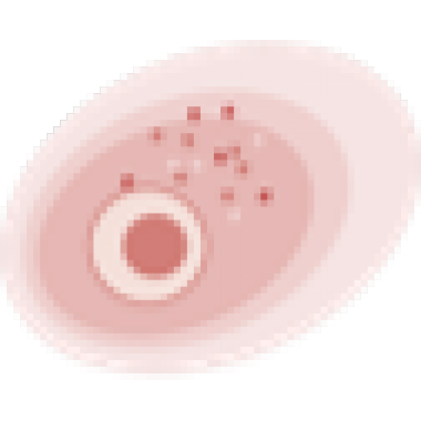 Inflammation Marker