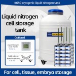 Madagascar-laboratory dewar flask-cryogenics containers