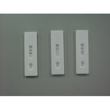 Rapid Detection kit for Brucella Antibody  (Colloidal Gold)