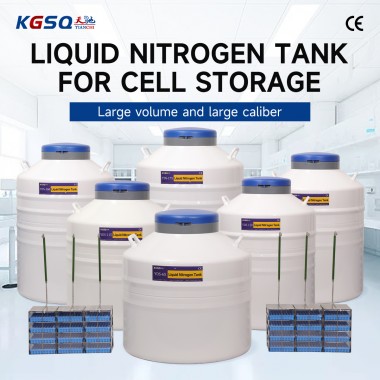 Bahrain-cell storage liquid nitrogen tank-cryogenic storage vessel