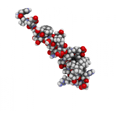 Liraglutide- is used for the treatment of type 2 diabetes mellitus (T2D) and obesity