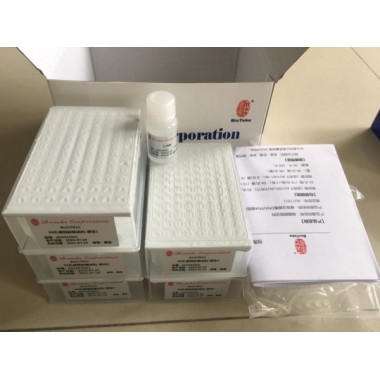 Nucleic Acid Detection Test Kit