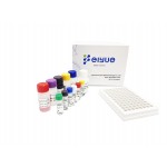 Human SESN3(Sestrin-3) ELISA Kit