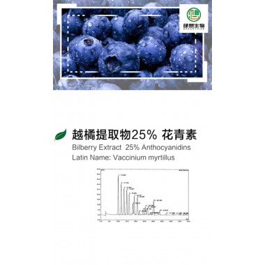 Bilberry Extract