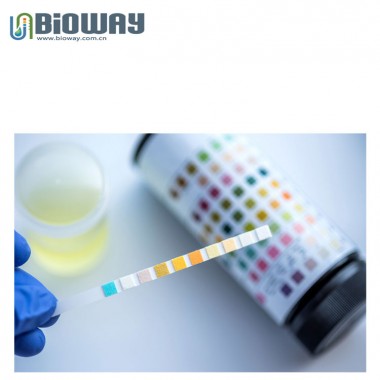 BIOWAY Urinalysis Strips