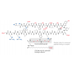 Semaglutide