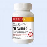 Praziquantel tablets