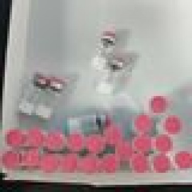 Lyophilized VIP 10mg Research Peptide Vasoactive Intestinal Peptide Immune & Vascular Regulation Lab Raw Powder Vial