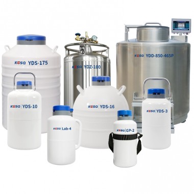 Tajikistan Liquid Nitrogen Tank Cell Storage Cryo Vessel