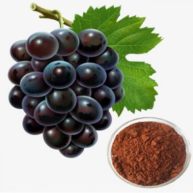 grape seed extract