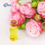 Factory Price 99% High Pure Rose Oil Bulgarian From Rosa Damascena CAS:90106-38-0 for Flavor