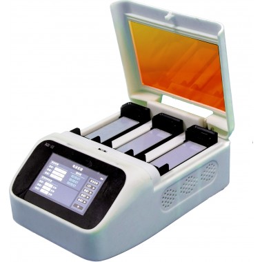 Eazy Gel Electrophoresis System