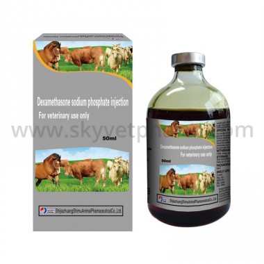 Dexamethasone Sodium Phosphate Injection