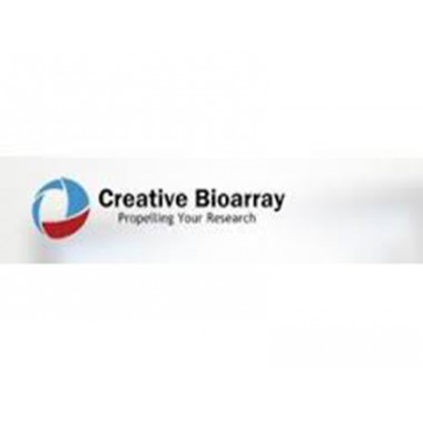 Human PTGER4/beta-Arrestin Stable Cell Line-U2OS