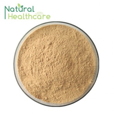 Best Quality Factory Supply Milk Thistle Extract Silymarin powder or capsule