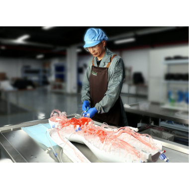 Full Body Vascular Simulation