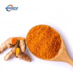 BAISFU Concentrated 99% Curcumin CAS 458-37-7 for Food Additives