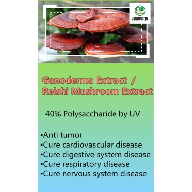 Reishi Mushroom Extract