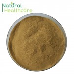 High Quality Goji Berry Plant Extract Powder/Chinese Wolfberry Extract/Lycium Barbarum L