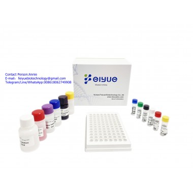 Hamster IL-12(Interleukin 12) ELISA Kit
