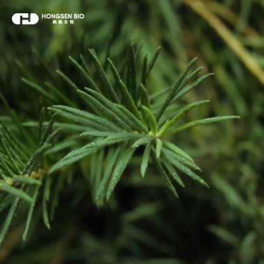 Tea tree oil