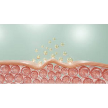 NAD+ 500mg Nicotinamide Adenine Dinucleotide Research Lyophilized Powder