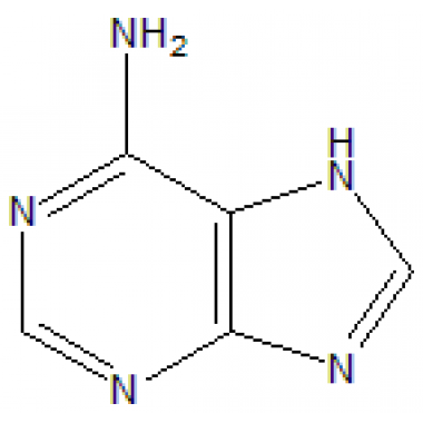 Adenine