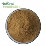 Sea Buckthorn Extract Powder/Hippophae Rhamnoides Extract with best quality!!!