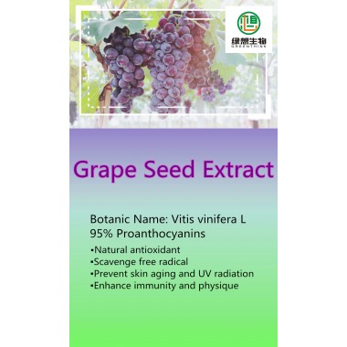 Grape Seed Extract