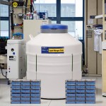 South Korea Liquid Nitrogen Storage Dewar Tank Suppliers