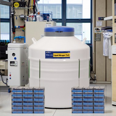 South Korea Liquid Nitrogen Storage Dewar Tank Suppliers
