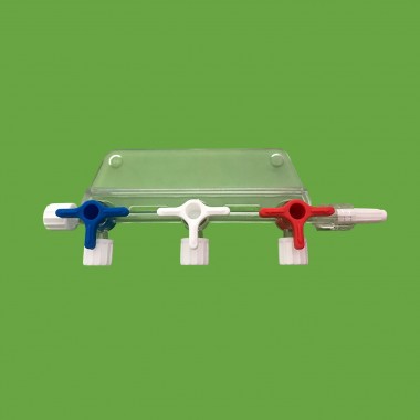 manifold