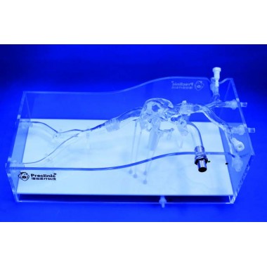 Cardiac Veins Simulation Mode
