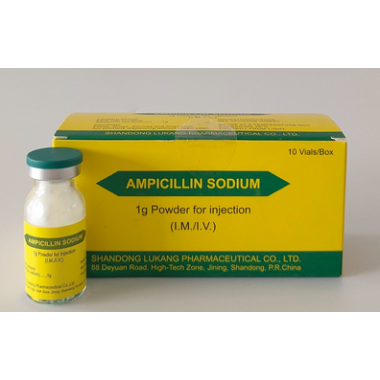 Injectable Ampicillin Sodium Powder,1g/Vial - Hospital-Grade Broad-Spectrum Antibiotic