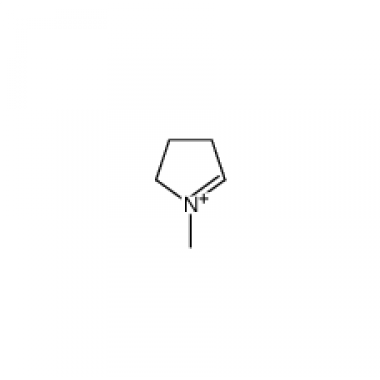1-methyl-delta(1)-pyrrolinium