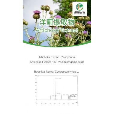 Artichoke Extract