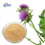 Manufacture Hot Sale  Silymarin CAS 22888-70-6 for Food Additives