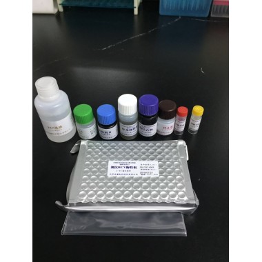 Diagnostic Elisa Kit for HCV (Hepatitis C virus) Antibody 96t Sfda Approved